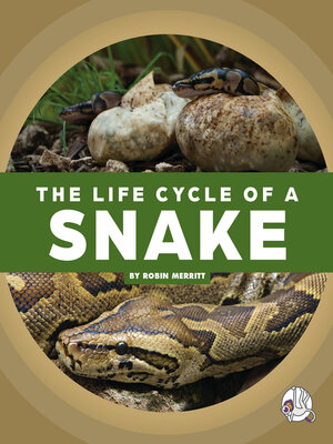 cover image of The Life Cycle of a Snake